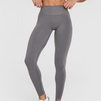 EvoFit High-Waist Leggings
